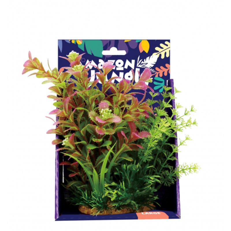 Amazon Jungle Mixed Ludwigia Display 20cm