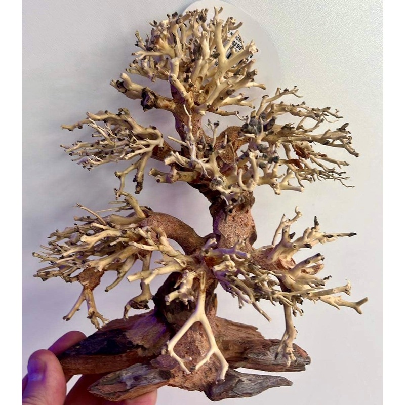 Petworx Bonsai Wood - 20x20cm