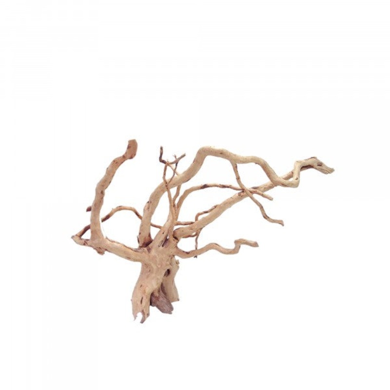 Bioscape Spider Wood