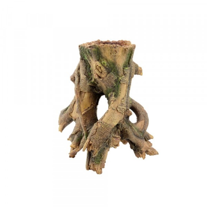 Bioscape Open Tree Stump
