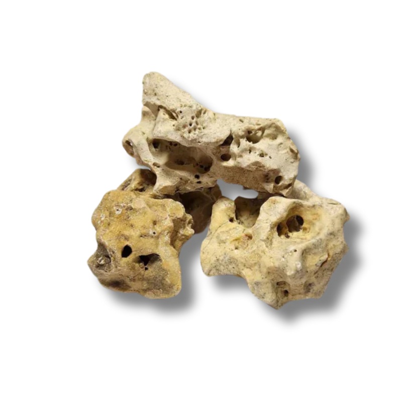 Holey Rock