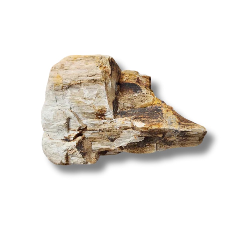 Jurassic Stone