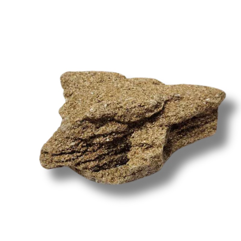 Lizard Stone