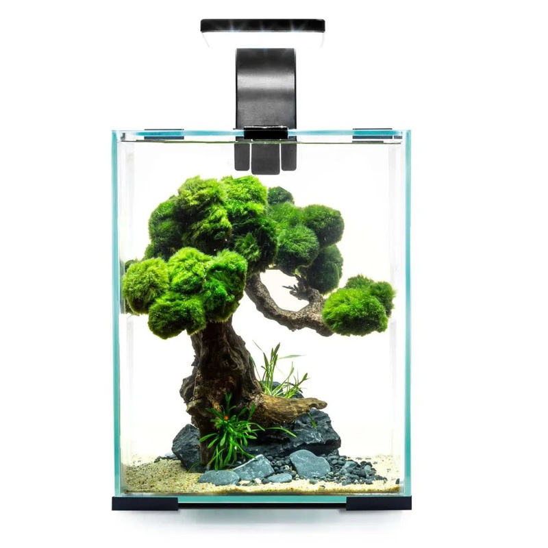 Aquael Shrimp Set Day & Night 10 Black