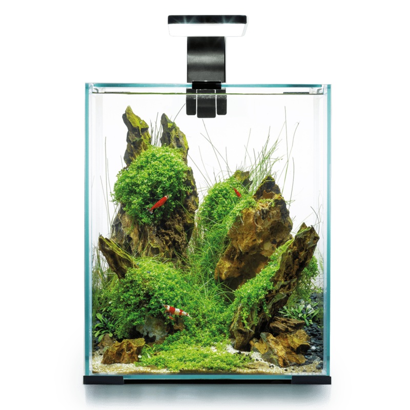 Aquael Shrimp Set Day & Night 20 Black
