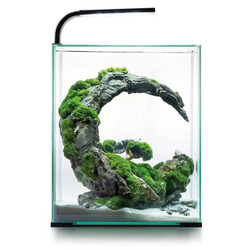 Aquael Shrimp Set Day & Night 30 Black