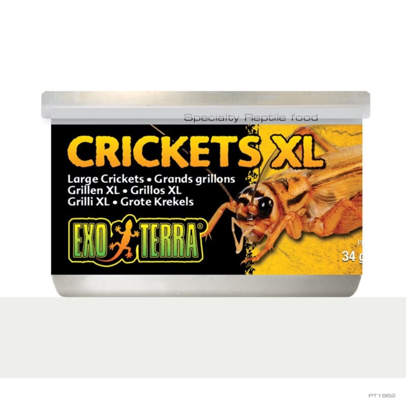 Exo Terra Crickets XLarge 34gm 1.2oz