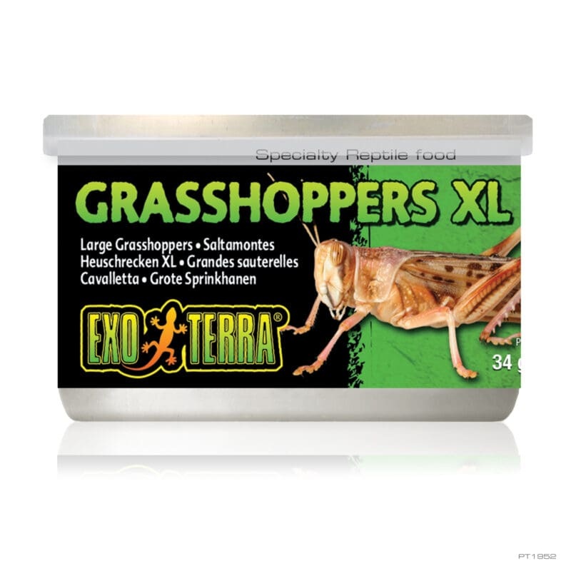 Exo Terra Wild Grasshoppers XL 34g