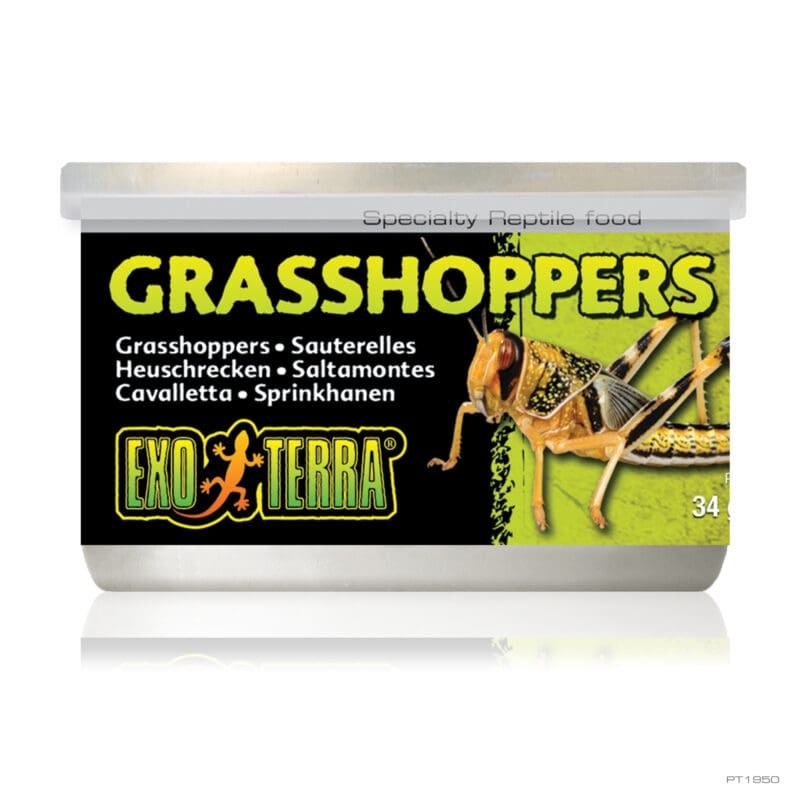 Exo Terra Wild Male Grasshoppers Small 34g