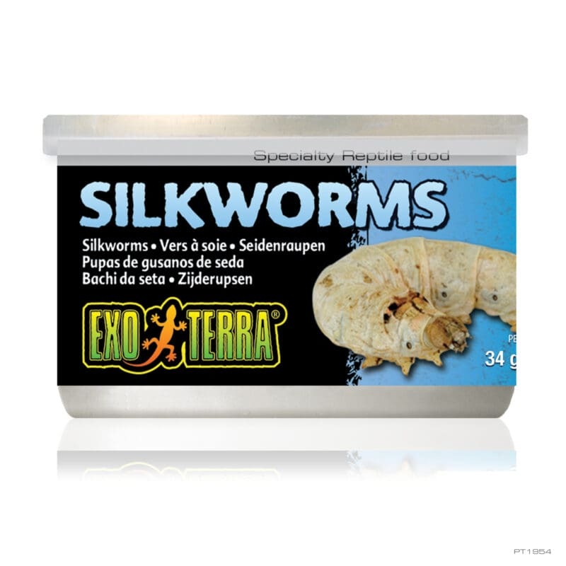 Exo Terra Wild Silkworms Medium 34g