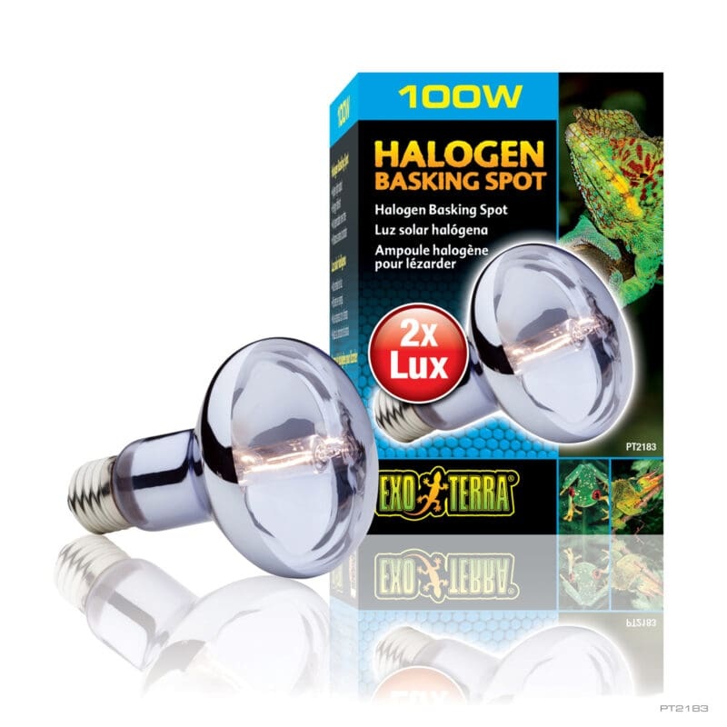 Exo Terra Halogen Basking Spot Lamp 100w