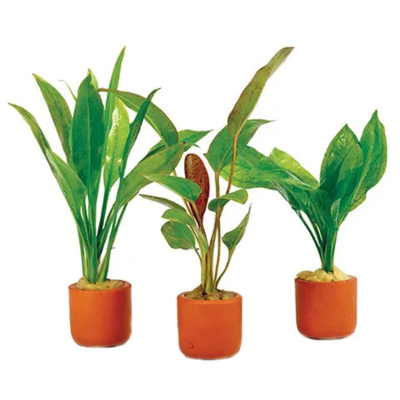 Crypts Assorted - Small
