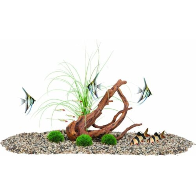 Fluval Decore Ornament - Mopani Wood With Moss Balls Large