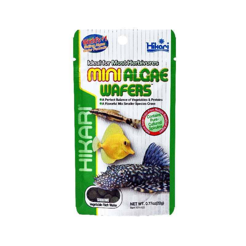 Hikari - Mini Algae Wafers 22g