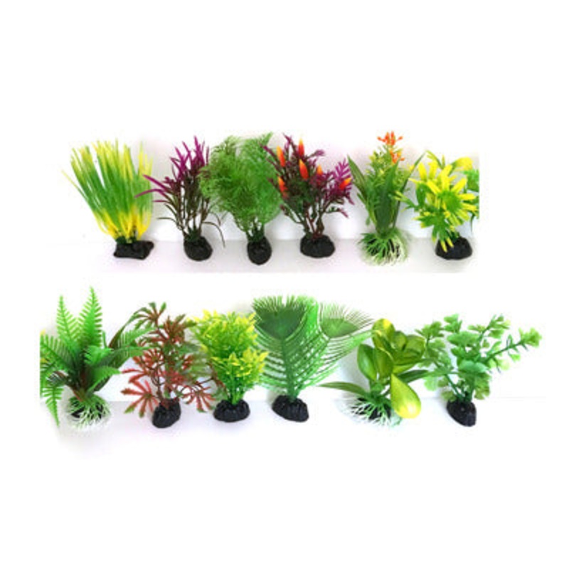 Aquaworx Deluxe Bunch Plant - 6in