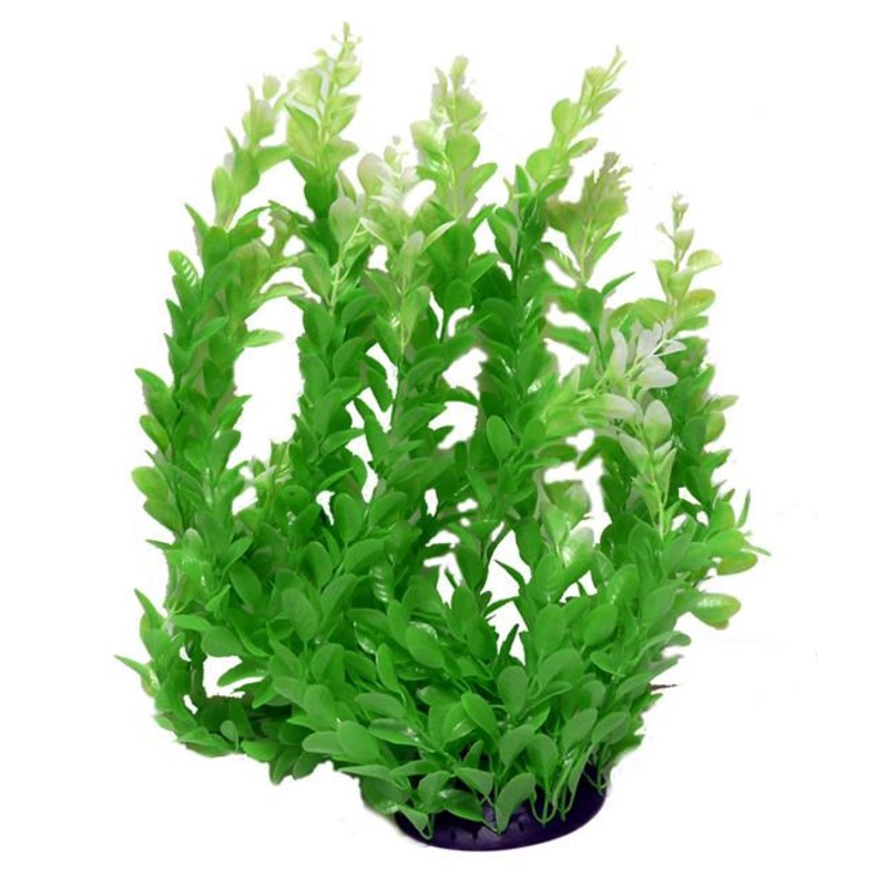 Aquaworx Deluxe Plant - 24in