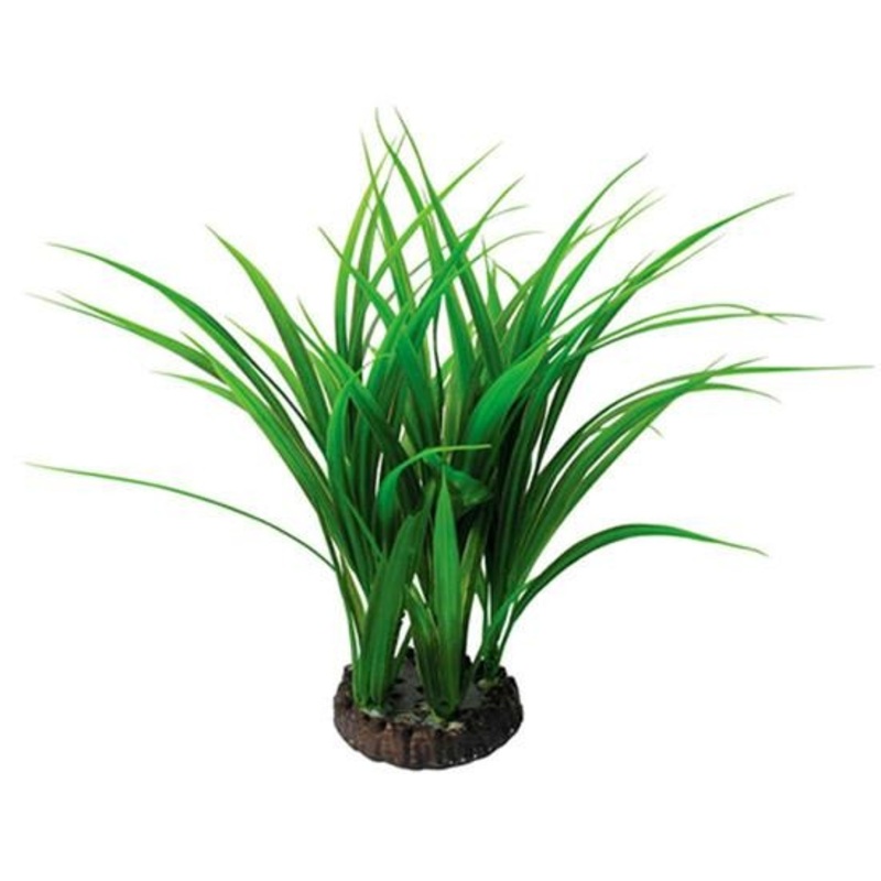 Petworx Bunch Plant Rush - 15in
