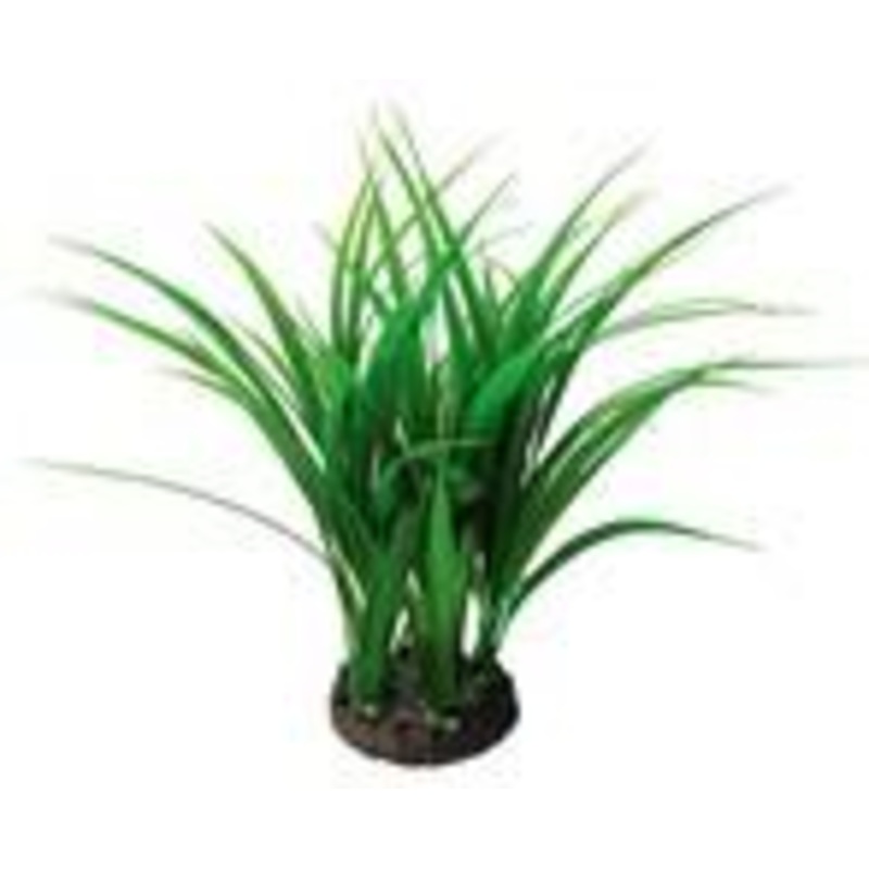 Petworx Bunch Plant Rush - 20in