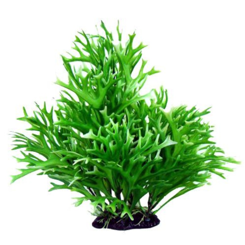 Petworx Bushy Plant Water Sprite - 24in