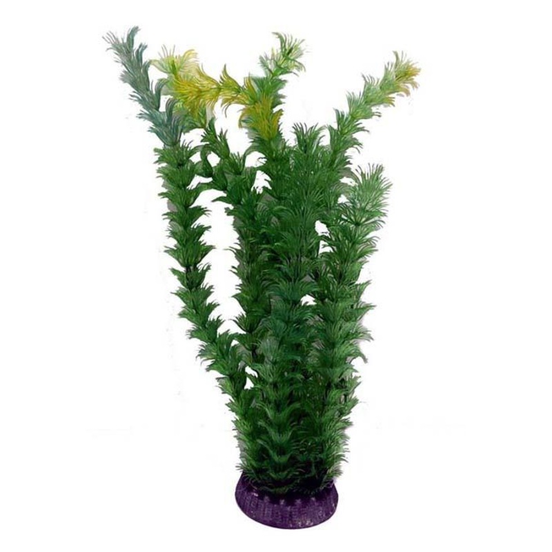 Petworx Economy Plant - 15in