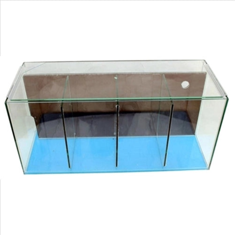 Petworx Fighter Tank 4 Bay With Filter 51x20x23cm 23L