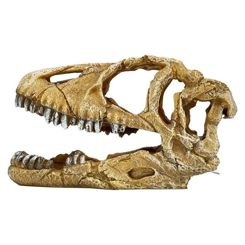 Aqua One Dinosaur Skull Ornament