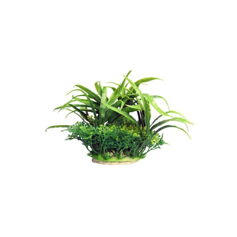 Aqua One Ecoscape Small Crinum Green
