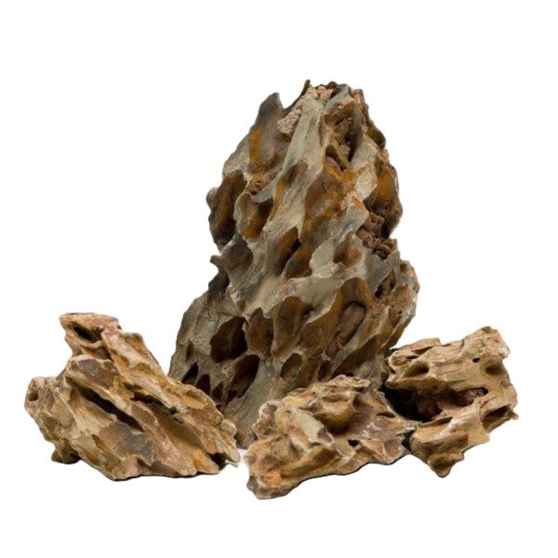 Dragon Stone