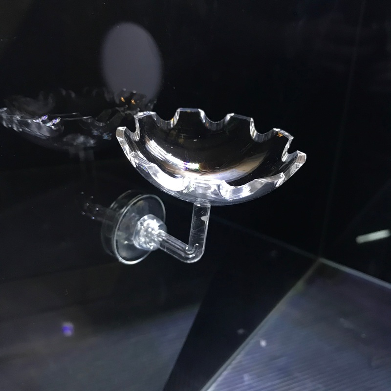 Fish and Shrimp Feeding Plate