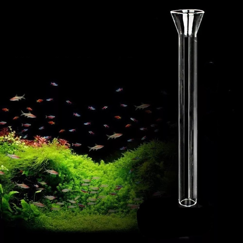 Fish/shrimp and Coral Feeding Tube