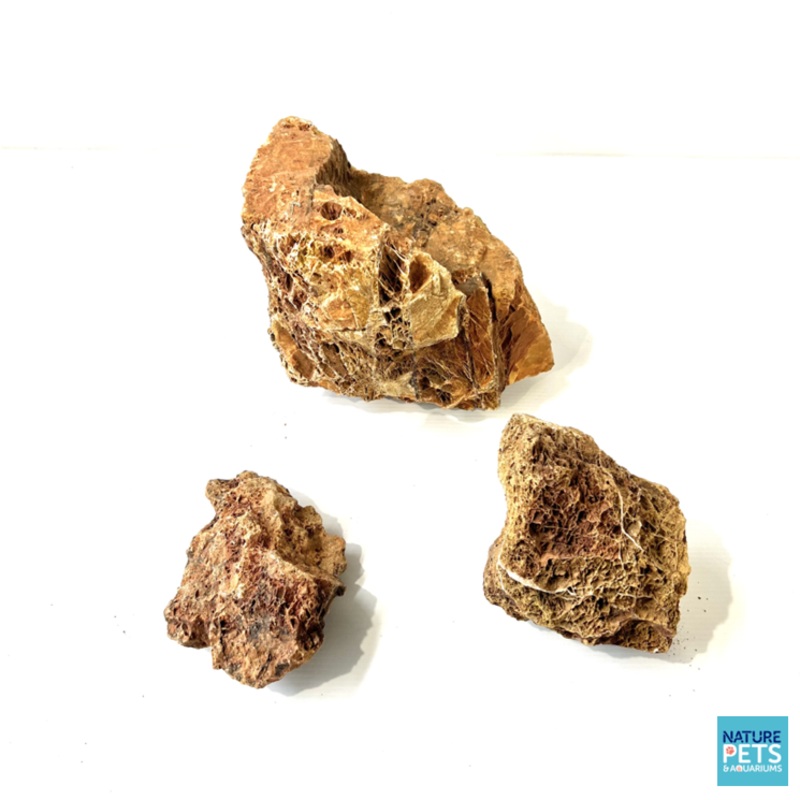 Maple Stone