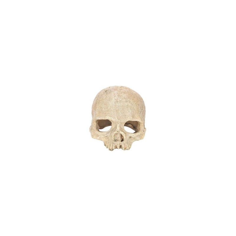 Petworx Skull Ornament - 15cm