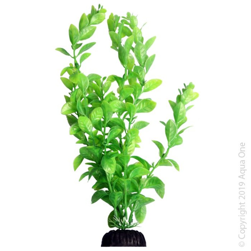 Plastic Plant Hygrophilia 30cm Green