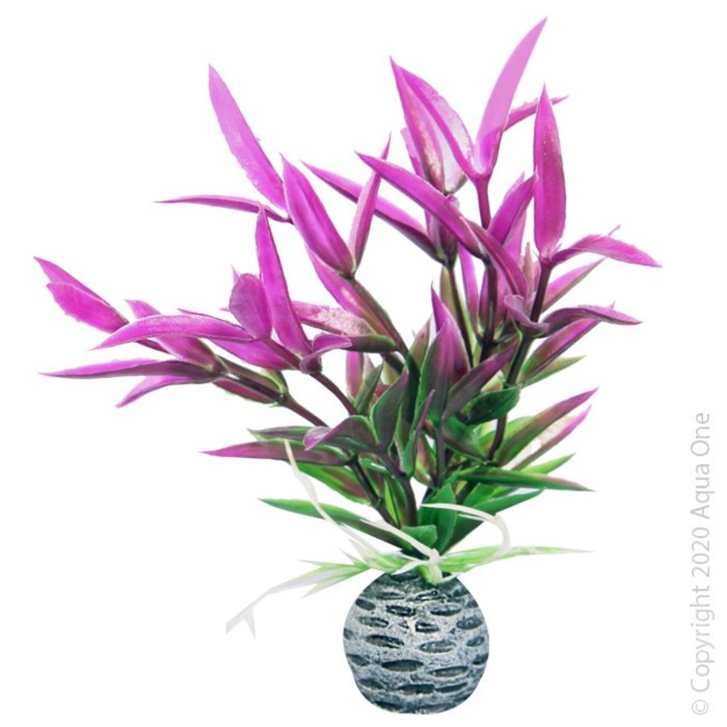 Plastic Plant Narrow Ludwigia 20cm Purple