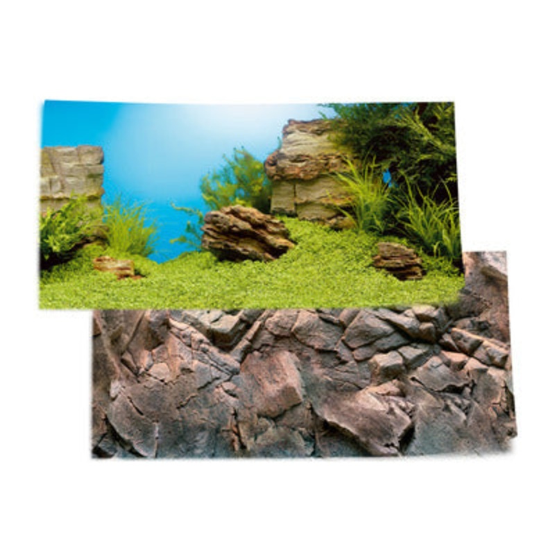 Juwel Background Poster Rock/Reef Scene