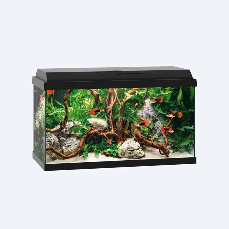 Juwel Primo 60 Aquarium 61x31x37cm 57L
