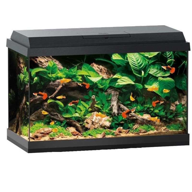 Juwel Primo 70 Aquarium 61x31x44cm 70L