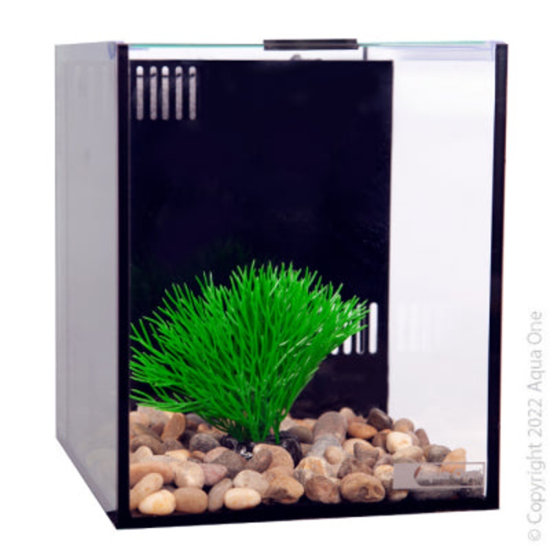 Aqua One Betta Condo Mono Aquarium 20x24x24cm 9.9L