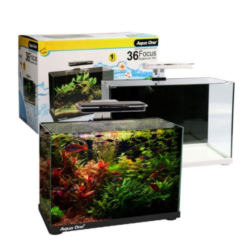 Aqua One Focus All In One Aquarium 36 50x25x34cm 36L