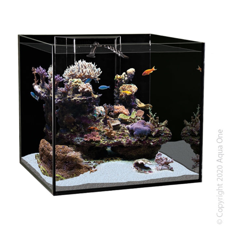 Aqua One Reefsys 180 Tank Only 60x55x53cm 180L