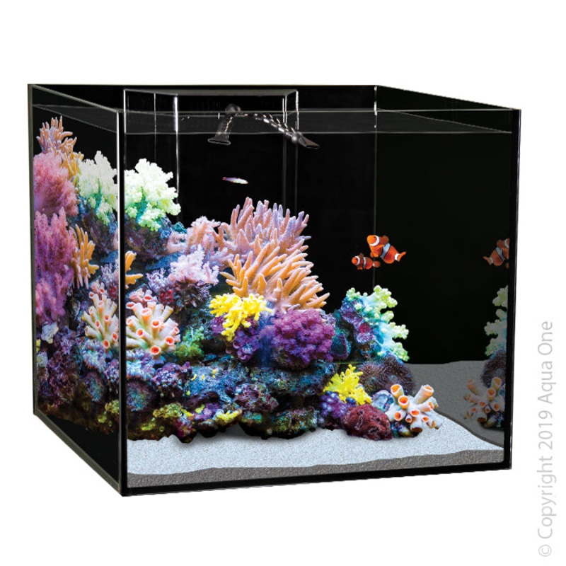 Aqua One Reefsys 255 Tank Only 90x55x53cm 255L