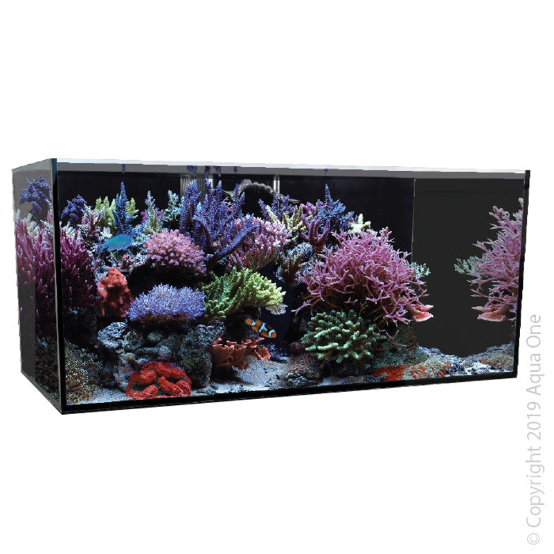 Aqua One Reefsys 326 Tank Only 120x55x53cm 326L