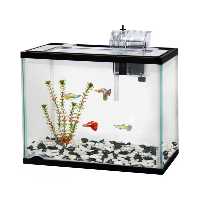 CLASSICA Aquarium Starter Kit 30x24x16cm 12L