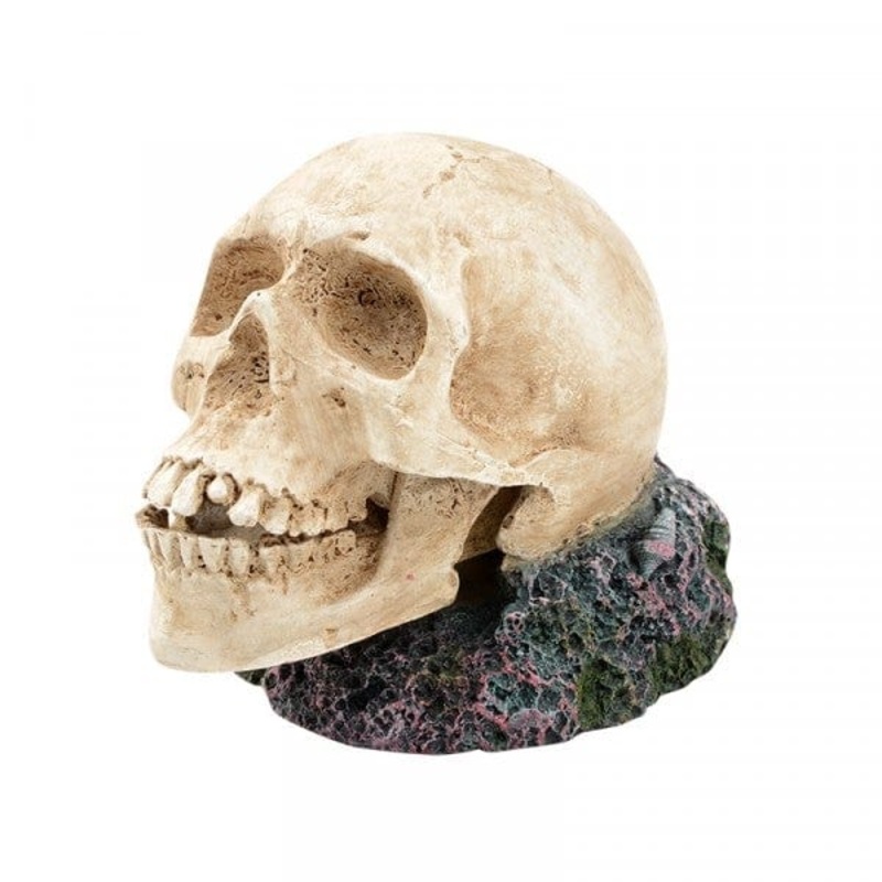 Bioscape Bubbler Large Human Skull