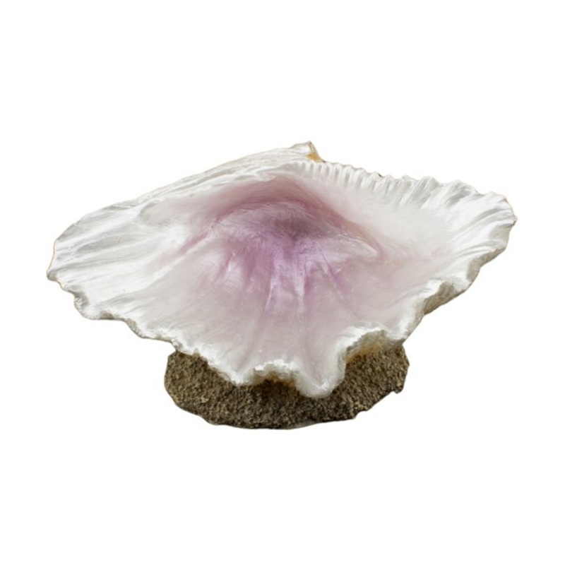 Bioscape Half Clam Shell Large