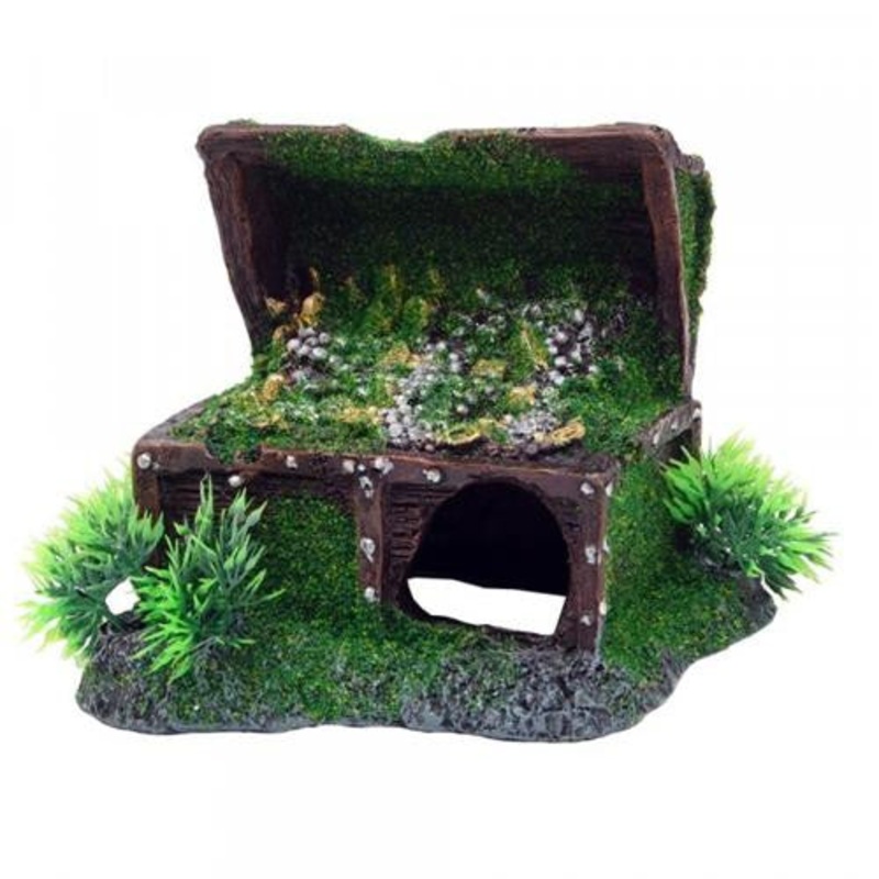 Bioscape Moss Treasure chest