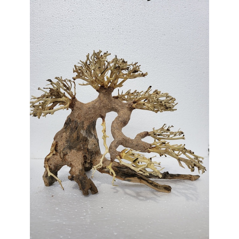Bonsai Wood