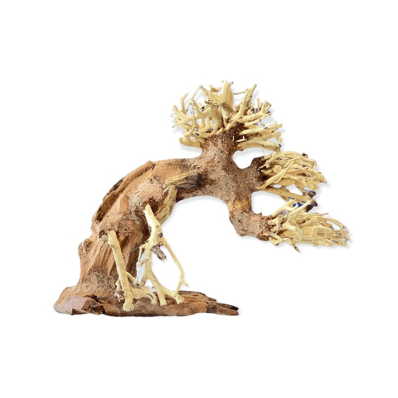 Petworx Bonsai Wood - 15x10x8cm