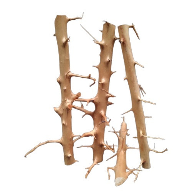 Long Hands Driftwood 40-60cm
