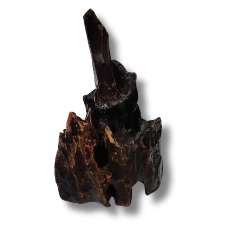 Dragon Wood
